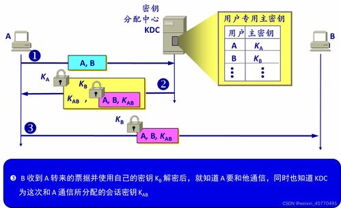计算机网络开发中的网络安全基石
